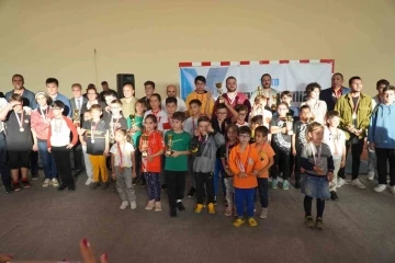 Satrancın şampiyonları Altınova’da belli oldu
