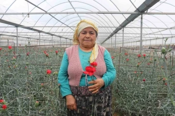 Sevgililerin çiçekleri İzmir’den: 14 Şubat öncesi hasat yoğunluğu
