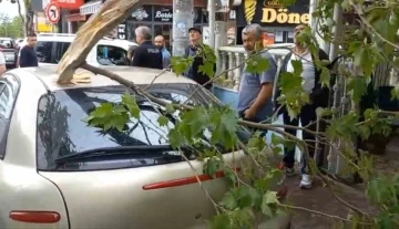 Bursa'da şiddetli rüzgara dayanamayan ağaç otomobilin üzerine düştü