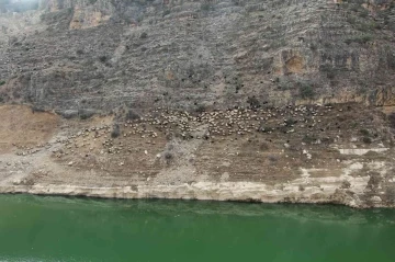 Siirt’te baraj suyu yolları kapattı