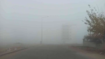 Siirt’te sabahın erken saatlerinde yola çıkan sürücüler sise yakalandı
