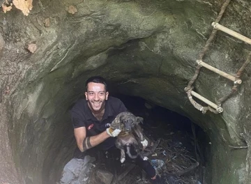 Silvan’da kuyuya düşen köpeği itfaiye ekibi kurtardı
