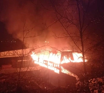 Sinop’ta kereste fabrikasında yangın
