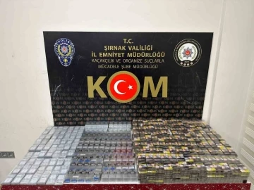 Şırnak’ta kaçakçılık ve asayiş operasyonu: 65 gözaltı
