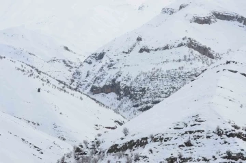 Şırnak’ta kar altında kalan Tanin Tanin Dağları havadan görüntülendi
