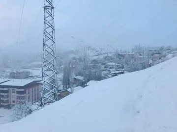 Şırnak’ta kardan kapanan 12 köy yolu ulaşıma açıldı

