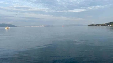 Sis nedeniyle Lapseki-Gelibolu hattındaki feribot seferleri geçici olarak durduruldu
