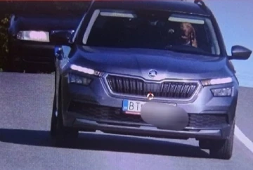 Slovakya’da seyir halindeki aracın direksiyonundaki köpek kameralara yakalandı
