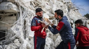 Suriye'de depremlerde yaralanan dost patileri bulup tedavi ediyorlar