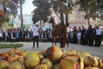 Suruç’ta “At ve Nar Festivali” renkli görüntülere sahne oldu

