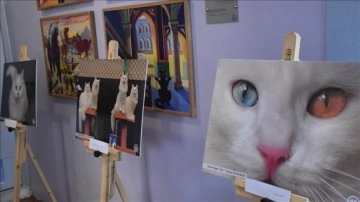 Tahran'da AA fotoğraflarıyla "Türk Kedileri" sergisi açıldı