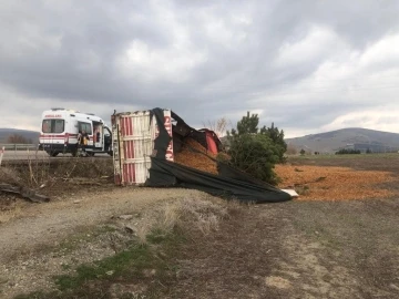 Talaş yüklü kamyon devrildi, sürücüsü yaralandı
