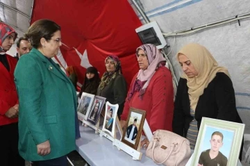 TBMM İnsan Hakları İnceleme Komisyonu heyeti, Diyarbakır anneleriyle bir araya geldi
