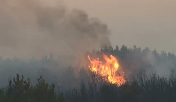 Tekirdağ’daki yangında 300 hektar ormanlık alan küle döndü
