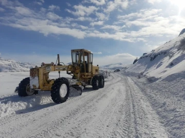 Tercan’da kardan kapalı köy yolları açılıyor
