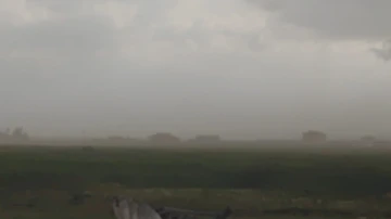 Toz bulutu ve fırtına ekinlere zarar verdi
