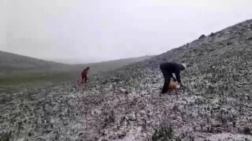 Tunceli’de mayısın ortasında kar yağdı
