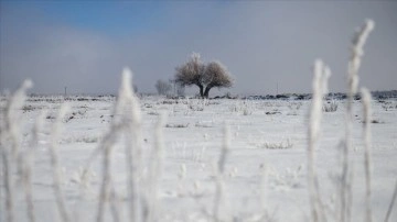 Tunceli'de ağaçlar kırağı tuttu, karlı dağların zirvesi sisle kaplandı