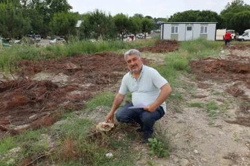 Turgutlu’da çam ağaçlarının kesilmesine tepki
