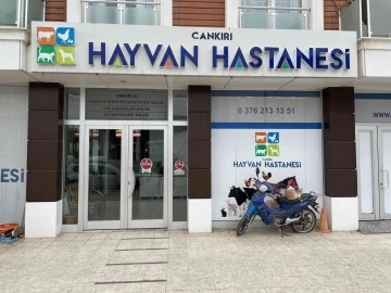 Türkiye’deki 3 hayvan hastanesinden birisi: Bölgedeki çiftçiler için umut oldu

