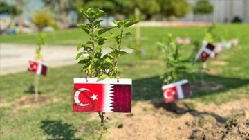 Türkiye-Katar ilişkilerinin 50'nci, Cumhuriyet'in 100. yılı dolayısıyla Doha'da 150 f