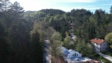 Türkiye’nin ilk ağaç müzesine bahar geldi