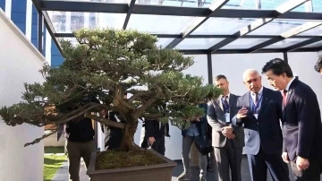Türkiye’nin ilk, Avrupa’nın en büyük bonsai müzesi Yalova’da açıldı