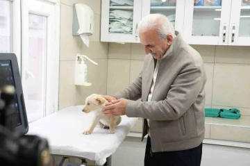 Ümraniye Belediyesi Hayvan Sağlık Hizmeti’nde İstanbul’da bir ilki gerçekleştirdi
