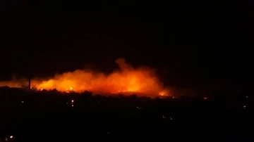 Urla’da makilik alandaki yangın kontrol altına alındı
