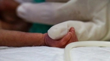 Van'da 24 haftalıkken dünyaya gelen 500 gramlık bebek sağlık çalışanlarının çabasıyla büyüyor