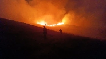 Varto’da anız yangını
