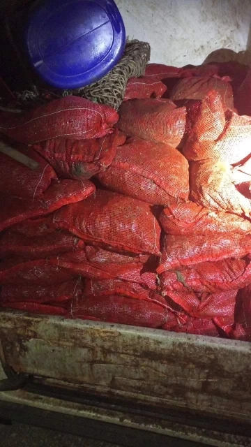 Yalova’da 1 ton 150 kilo kaçak midye ele geçirildi
