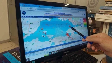 “Yalova’daki hareketlenmeler Kuzey Anadolu fay hattının Marmara Denizi içerisindeki koluna sıçrama yapabilir”
