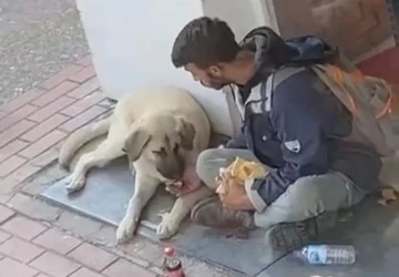 Bursa'da yemeğini sokak köpeği ile paylaştı, sosyal medyada viral oldu