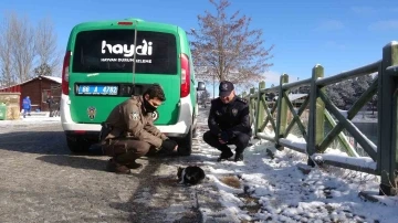 Yozgat’ta polis ekipleri sokak hayvanlarını unutmadı
