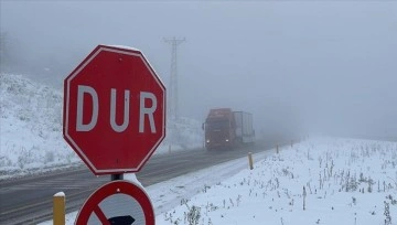 Zonguldak'ta kar ve sis ulaşımı olumsuz etkiledi