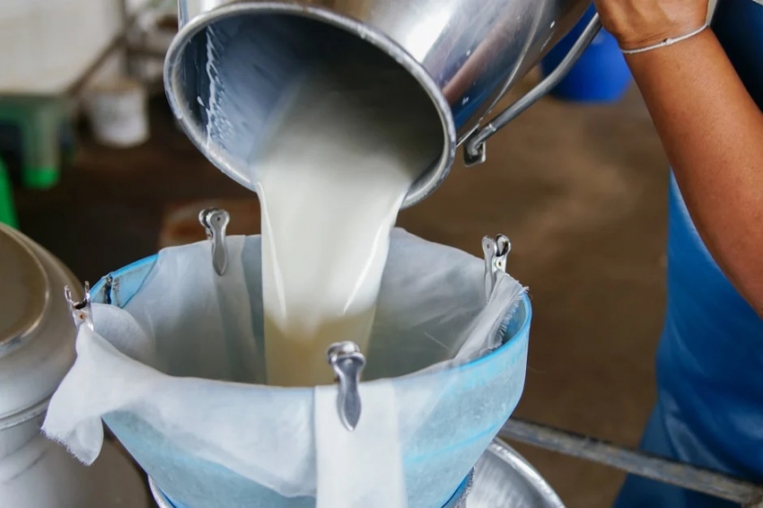 Çiğ süt fiyatı 7,5 lira oldu; Üreticiye verilen 1 liralık destek 20 kuruşa düşürüldü